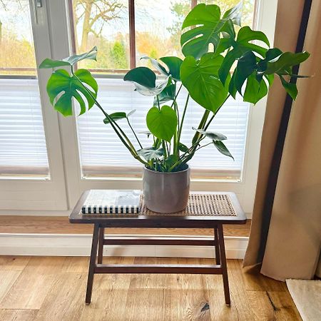 שרבאוץ Happy Place Mit Sonnen-Balkon Und Stellplatz Nur 400 M Zum Strand מראה חיצוני תמונה